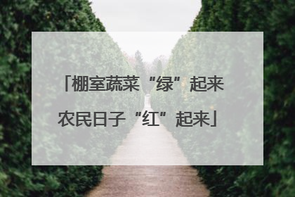 棚室蔬菜“绿”起来 农民日子“红”起来