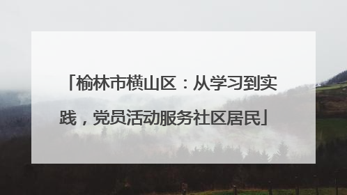 榆林市横山区：从学习到实践，党员活动服务社区居民