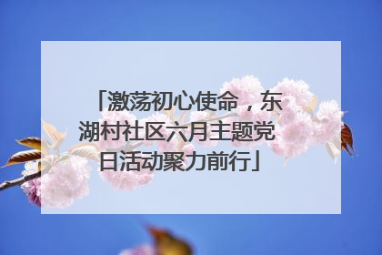 激荡初心使命，东湖村社区六月主题党日活动聚力前行