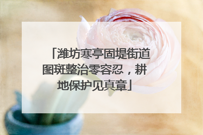 潍坊寒亭固堤街道图斑整治零容忍，耕地保护见真章