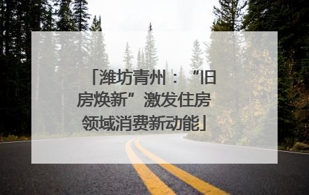 潍坊青州：“旧房焕新”激发住房领域消费新动能
