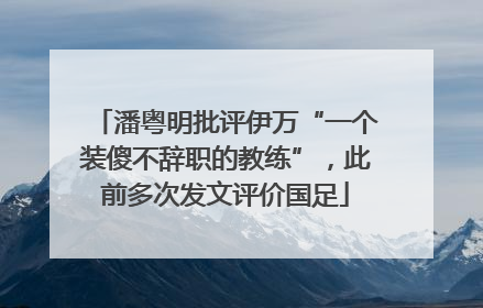 潘粤明批评伊万“一个装傻不辞职的教练”，此前多次发文评价国足