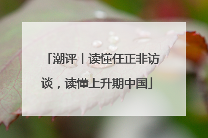 潮评丨读懂任正非访谈，读懂上升期中国