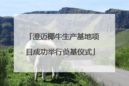 澄迈椰牛生产基地项目成功举行奠基仪式