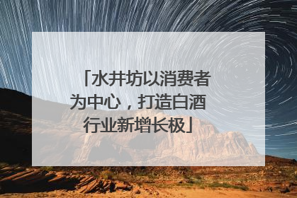 水井坊以消费者为中心，打造白酒行业新增长极