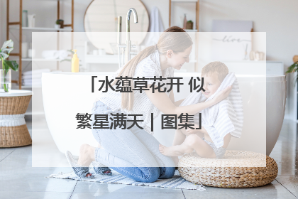 水蕴草花开 似繁星满天｜图集