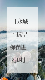 永城：抗旱保苗进行时