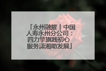 永州融耀丨中国人寿永州分公司：四力擎旗践初心 服务潇湘助发展