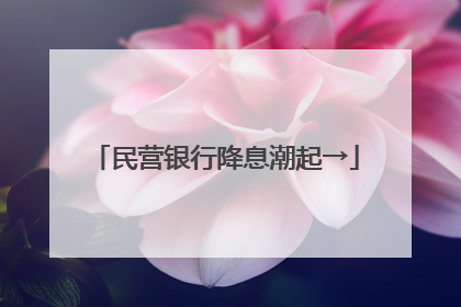 民营银行降息潮起→