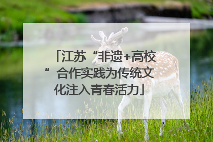 江苏“非遗+高校”合作实践为传统文化注入青春活力