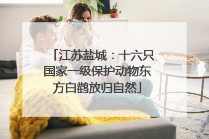 江苏盐城：十六只国家一级保护动物东方白鹳放归自然