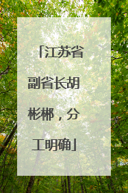 江苏省副省长胡彬郴，分工明确