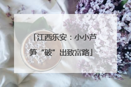 江西乐安：小小芦笋“破”出致富路