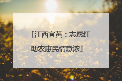 江西宜黄：志愿红助农惠民情意浓