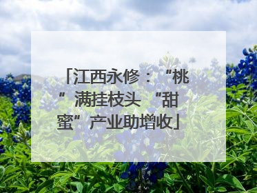 江西永修：“桃”满挂枝头 “甜蜜”产业助增收