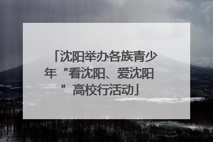 沈阳举办各族青少年“看沈阳、爱沈阳”高校行活动