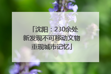 沈阳：230余处新发现不可移动文物重现城市记忆