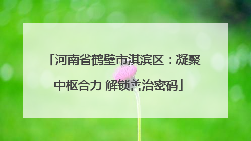 河南省鹤壁市淇滨区：凝聚中枢合力 解锁善治密码