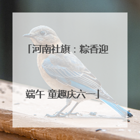 河南社旗：粽香迎端午 童趣庆六一