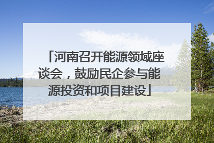 河南召开能源领域座谈会，鼓励民企参与能源投资和项目建设