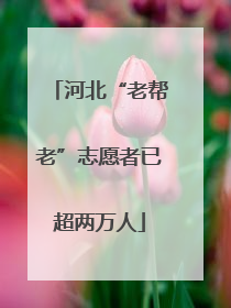 河北“老帮老”志愿者已超两万人