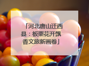 河北唐山迁西县：板栗花开飘香文旅新画卷