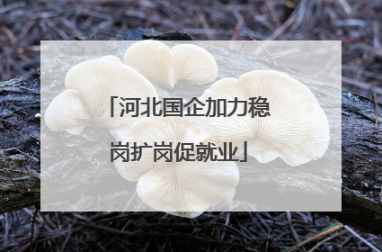 河北国企加力稳岗扩岗促就业
