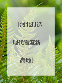 河北打造现代物流新高地