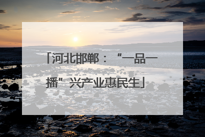 河北邯郸：“一品一播”兴产业惠民生