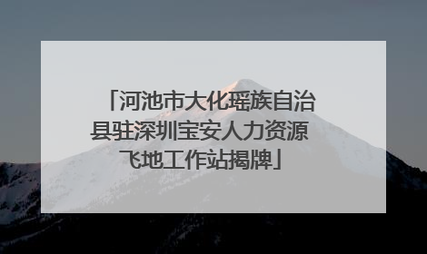 河池市大化瑶族自治县驻深圳宝安人力资源飞地工作站揭牌