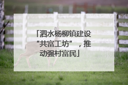 泗水杨柳镇建设“共富工坊”，推动强村富民