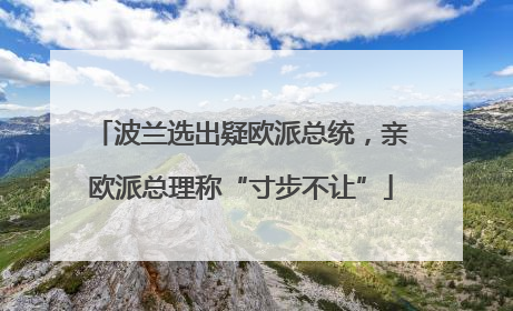 波兰选出疑欧派总统，亲欧派总理称“寸步不让”