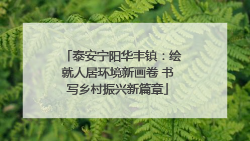 泰安宁阳华丰镇：绘就人居环境新画卷 书写乡村振兴新篇章