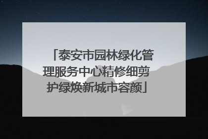 泰安市园林绿化管理服务中心精修细剪护绿焕新城市容颜
