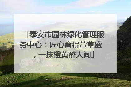 泰安市园林绿化管理服务中心：匠心育得萱草盛，一抹橙黄醉人间