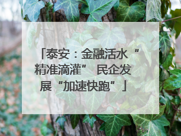 泰安：金融活水“精准滴灌” 民企发展“加速快跑”