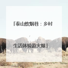 泰山炊烟巷：乡村生活体验游火爆