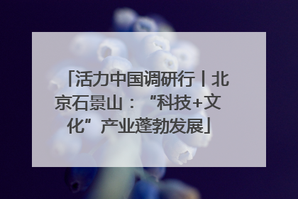 活力中国调研行丨北京石景山：“科技+文化”产业蓬勃发展