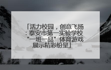 活力校园，创意飞扬：泰安市第一实验学校“一班一品”体育游戏展示精彩纷呈