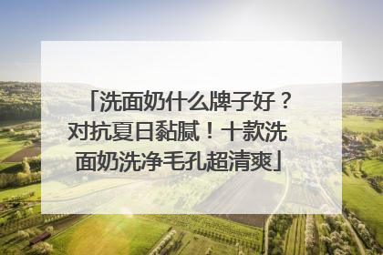 洗面奶什么牌子好？对抗夏日黏腻！十款洗面奶洗净毛孔超清爽