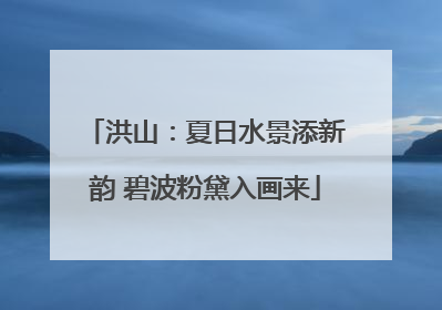 洪山：夏日水景添新韵 碧波粉黛入画来