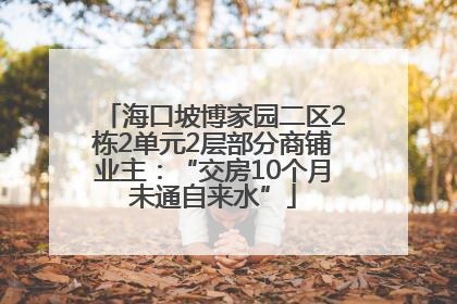 海口坡博家园二区2栋2单元2层部分商铺业主：“交房10个月未通自来水”