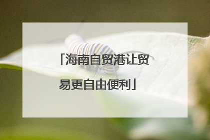 海南自贸港让贸易更自由便利
