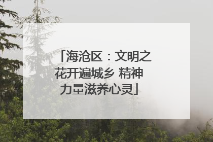 海沧区：文明之花开遍城乡 精神力量滋养心灵