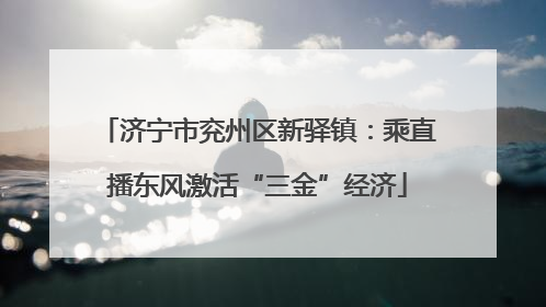 济宁市兖州区新驿镇：乘直播东风激活“三金”经济