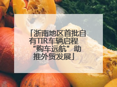 浙南地区首批自有TIR车辆启程 “购车远航”助推外贸发展