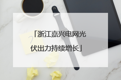 浙江嘉兴电网光伏出力持续增长