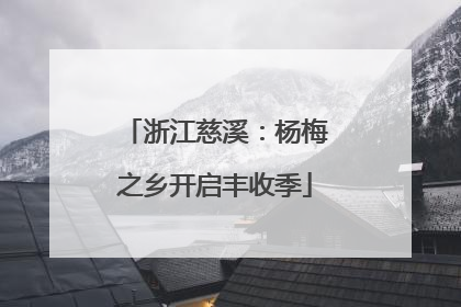 浙江慈溪：杨梅之乡开启丰收季