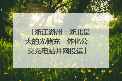 浙江湖州：浙北最大的光储充一体化公交充电站并网投运