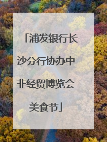 浦发银行长沙分行协办中非经贸博览会美食节